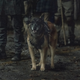 Image for article titled Well, That Was a Thoroughly Unpleasant Episode of The Walking Dead